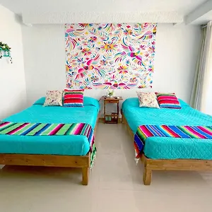 Renovated In At The Zone Cancún