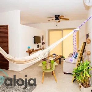Ideal Estudios Calidos Y Acogedores Cancún